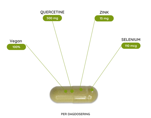 Quercetine Vitaal extract- 60 Vcaps Quercetine Vitaal extract- 60 Vcaps