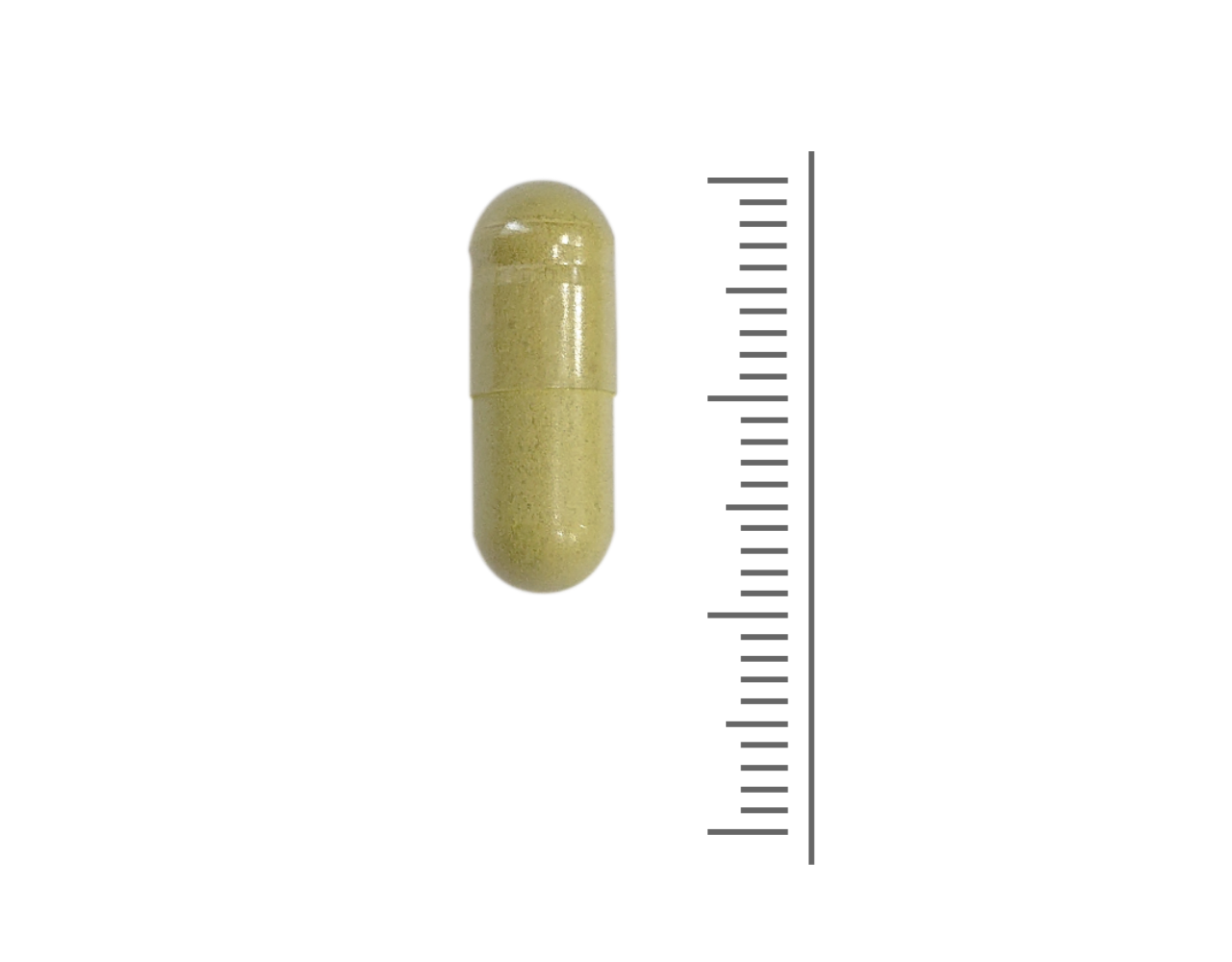 Quercetine Vitaal extract- 60 Vcaps Quercetine Vitaal extract- 60 Vcaps
