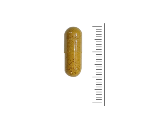 Detox Pro - 60 Vcaps Detox Pro - 60 Vcaps