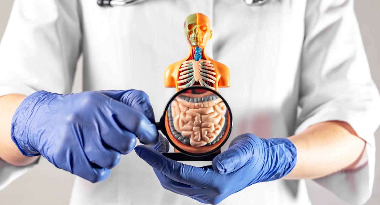 Lekkende darm syndroom : Oorzaak, gevolgen en behandeling Lekkende darm syndroom : Oorzaak, gevolgen en behandeling