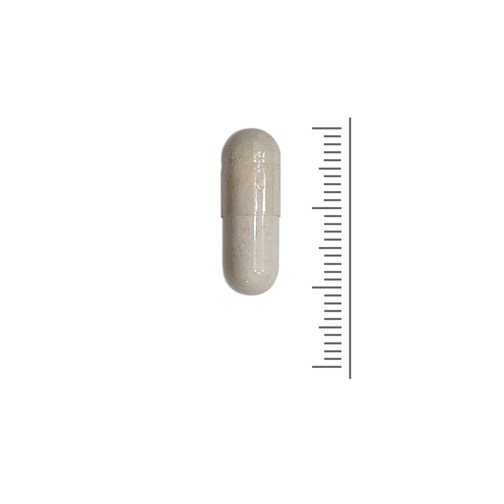 Florabalans Probische Blend  - 100 Vcaps Florabalans Probische Blend  - 100 Vcaps