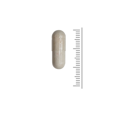 Florabalans Probische Blend  - 100 Vcaps Florabalans Probische Blend  - 100 Vcaps