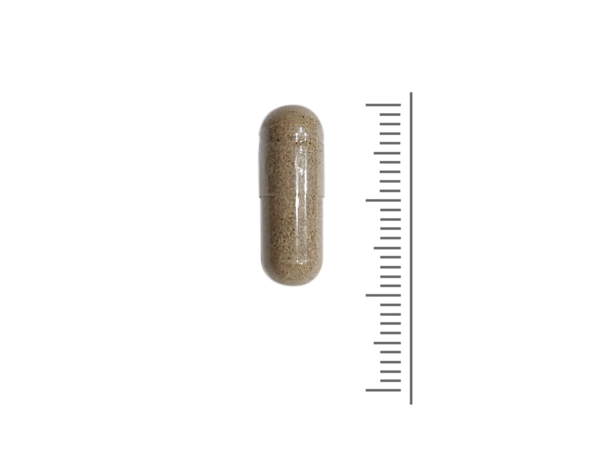 Vitex Agnus Castus 200 mg Monnikspeper - 60 plantcaps