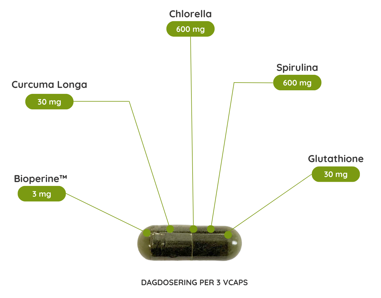 Chlorella & Spirulina - 90 vcaps