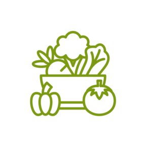 Voedingsstoffen Voedingsstoffen