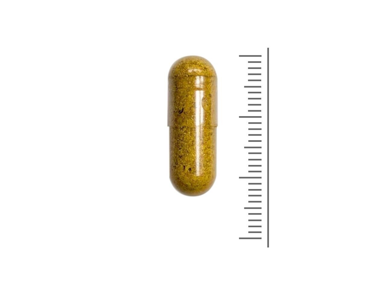 Broccoli Extract preDIM - 60 vcaps Broccoli Extract preDIM - 60 vcaps