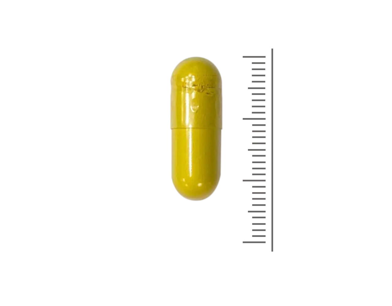 Berberine Rebersa® + | 60 vcaps Berberine Rebersa® + | 60 vcaps