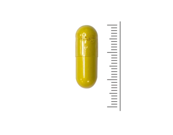 Berberine Rebersa® + | 60 vcaps Berberine Rebersa® + | 60 vcaps