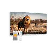Quality Heating Panneau infrarouge en verre imprimé avec wifi et télécommande lion 100x59 580Watt