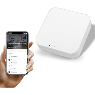 Zigbee Hub - Google en Alexa gestuurd - Gateway - Bridge