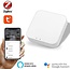 Hub Zigbee - Contrôlé par Google et Alexa - Passerelle - Bridge