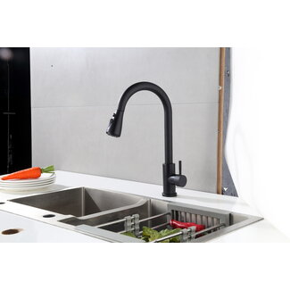 Nurion Robinet de cuisine Nurion noir mat avec bec