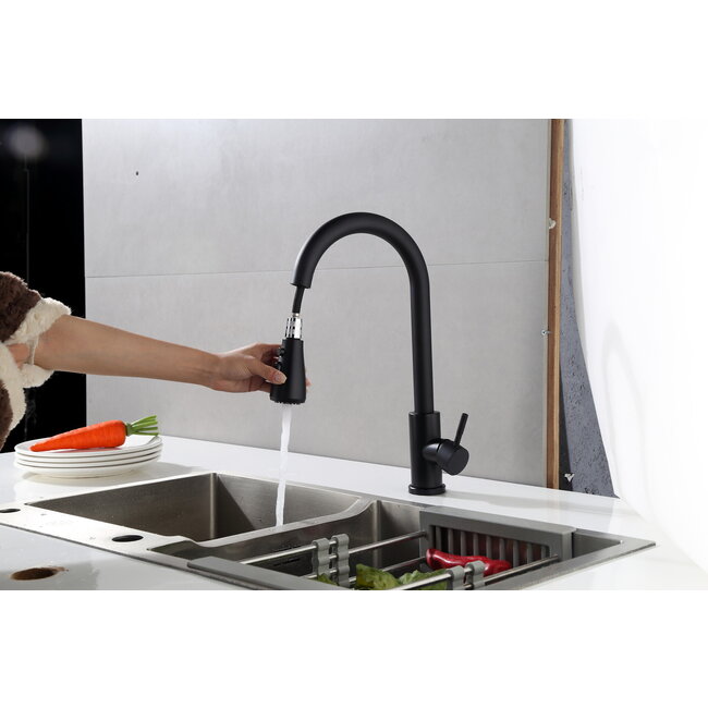 Robinet de cuisine Nurion noir mat avec bec