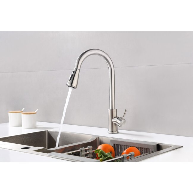 Robinet de cuisine Nurion argenté avec bec