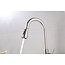 Robinet de cuisine Nurion argenté avec bec