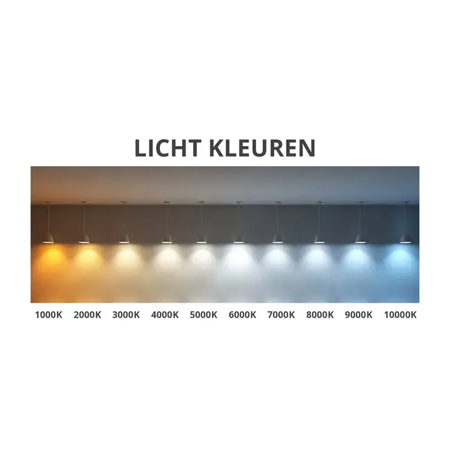 Spiegel met led half ovaal 50 x 100 cm