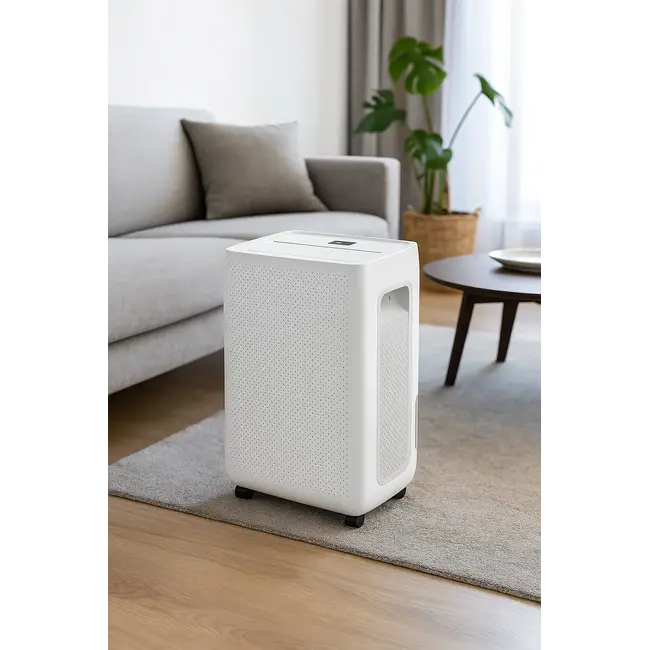 Déshumidificateur compact 20 Litres Wifi avec filtre à charbon