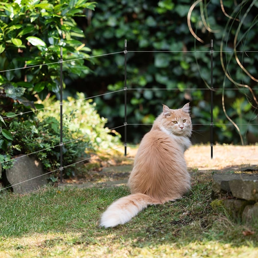 Gallagher Honden en katten tuin kit, complete schrikdraad set voor in (80 cm) - Animal Fences
