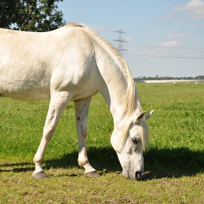 TurboLine lint 20mm  (wit, 200 meter)