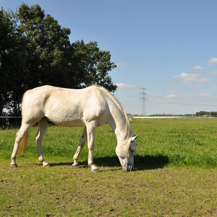 TurboLine lint 20mm  (wit, 200 meter)