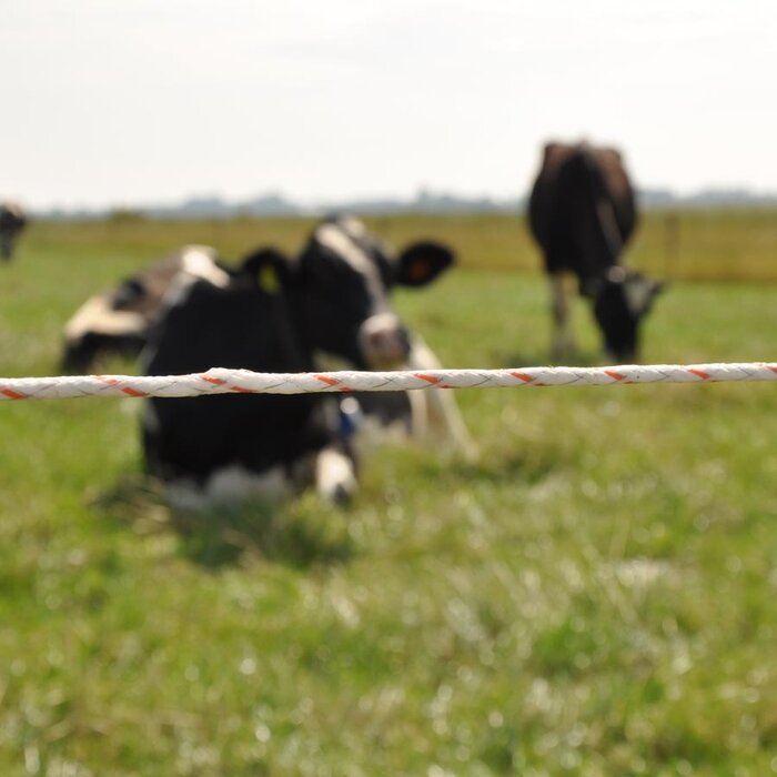 Vidoflex 9 TurboLine Plus (wit, 200 meter)