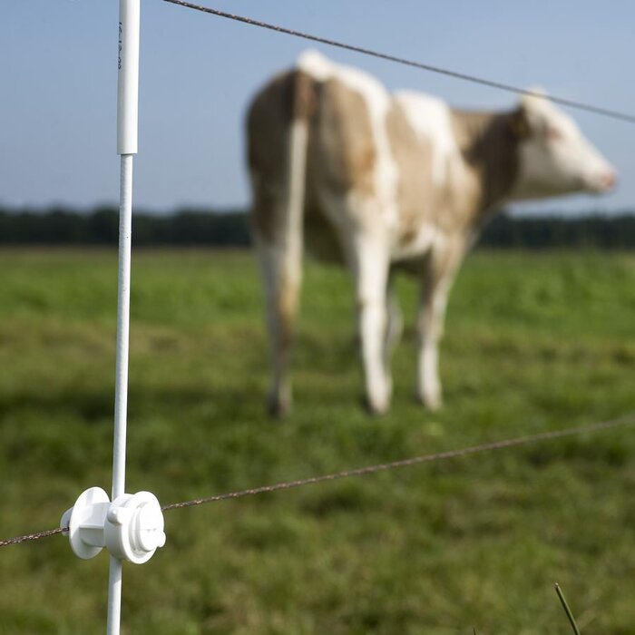 Schroefisolator (wit, palen ø 6-14mm, 10 stuks)