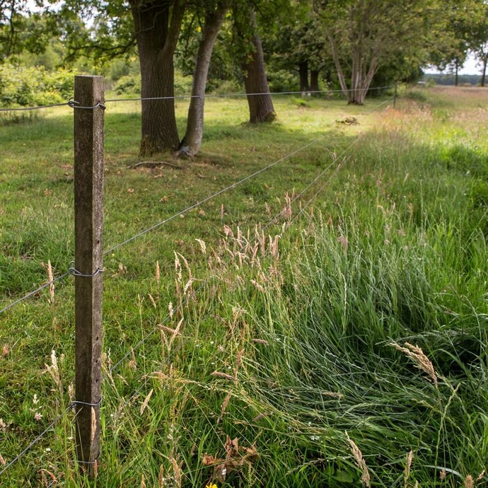 Bevestigingsdraadjes lang (1000 stuks)