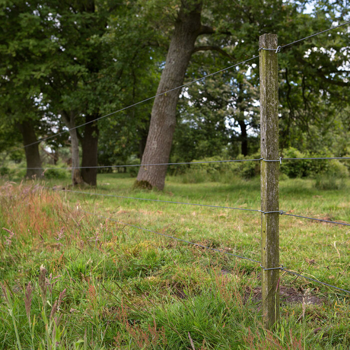 Bevestigingsdraadjes lang (1000 stuks)