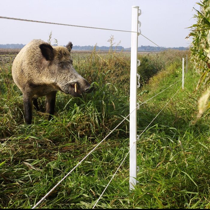 Vario Paal (10 stuks)