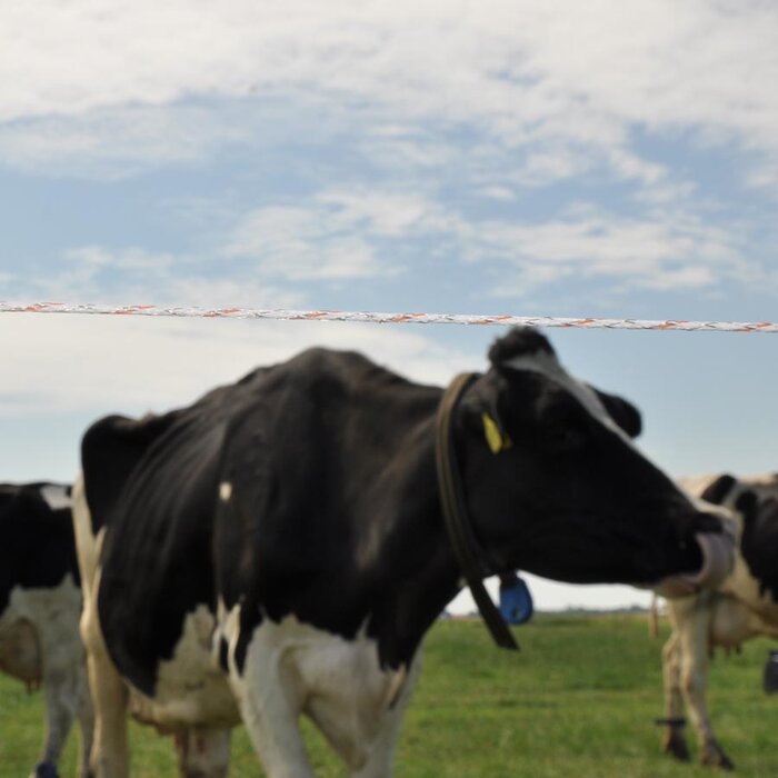 Vidoflex 9 TurboLine Plus (wit, 1000 meter)