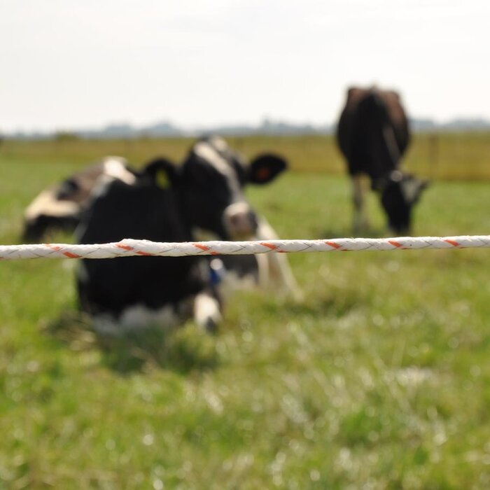 Vidoflex 9 TurboLine Plus (wit, 1000 meter)