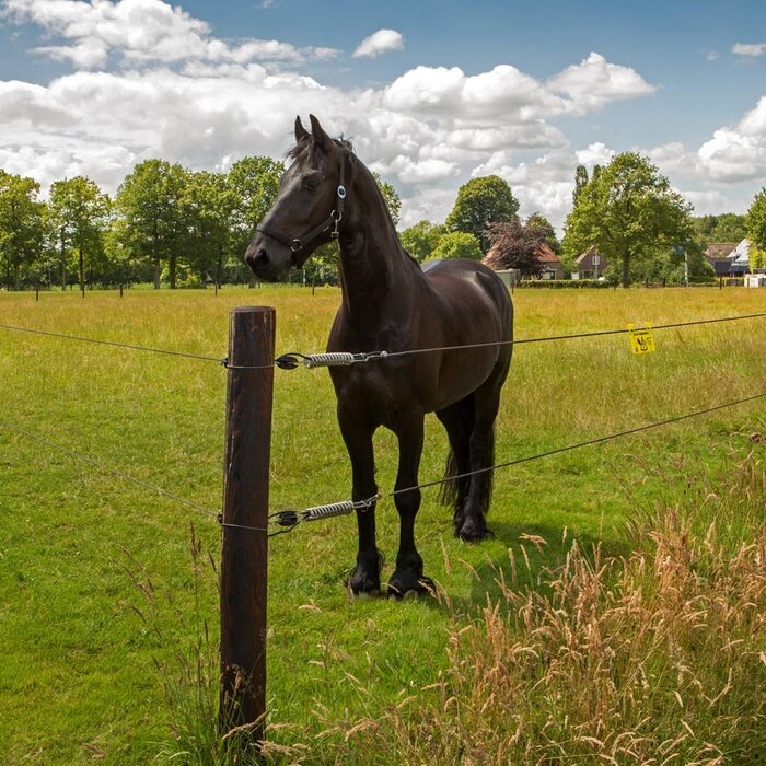 EquiFence Permanentkabel (terra, 250 meter)