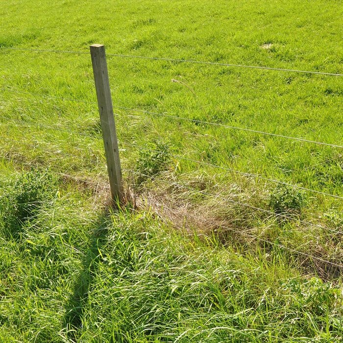 Gealuminiseerd draad (Medium Tensile) ø1,8 mm (ca. 500 meter)