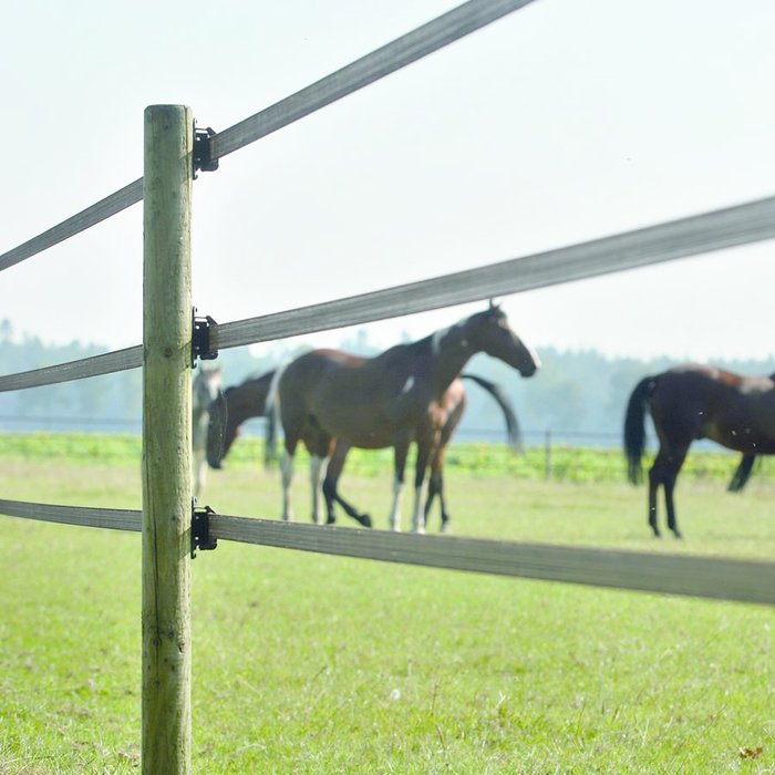 PowerLine lint 40 mm (terra, 200 meter)