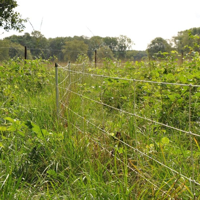 Wilde zwijnen net, 75cm, 50m (enkele pen)