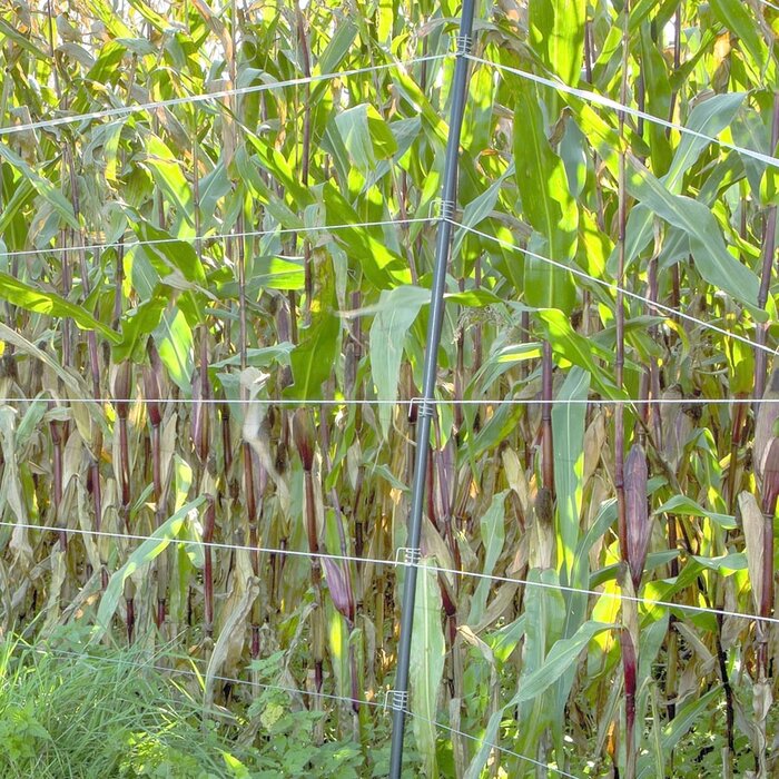 Verstelbaar veertje (19 mm) (25 stuks)