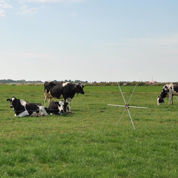 Rasterspin (5 stuks)