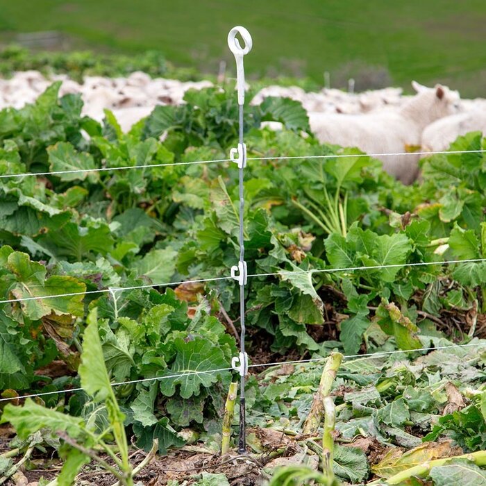 Multi Wire Ring Top Post White 1,10 m (10)