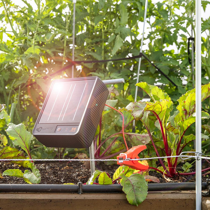 Gallagher S6 Solar schrikdraadapparaat incl. Lithium batterij (3.2 V - 6 Ah)