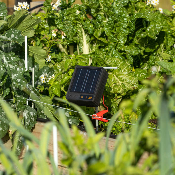 Gallagher S6 Solar schrikdraadapparaat incl. Lithium batterij (3.2 V - 6 Ah)