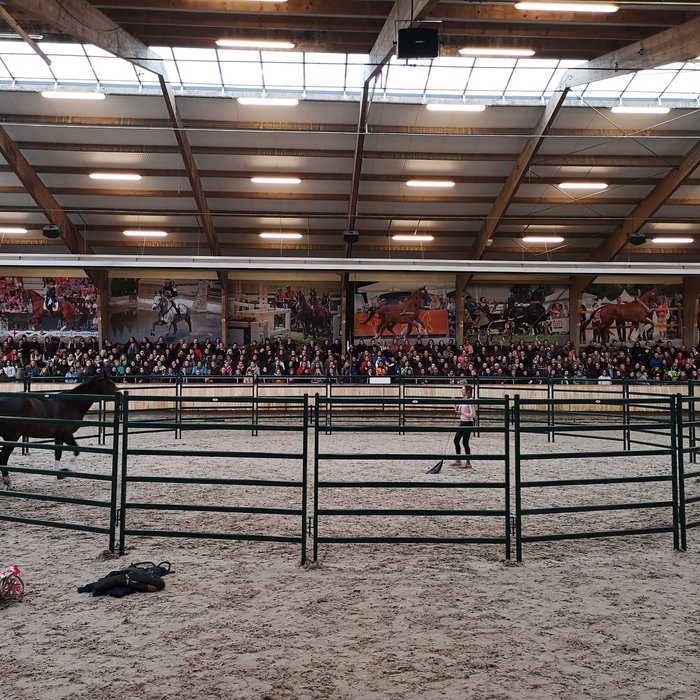 Roundpen 1.80 meter Ø 17 meter XXL