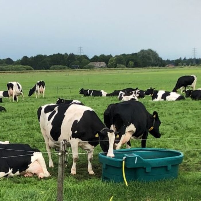 Suevia Weidedrinkbak WT 600 zonder vlotter