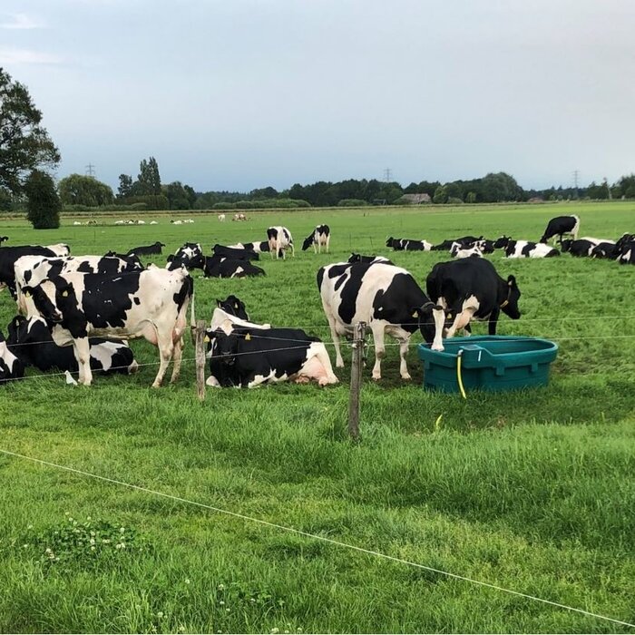 Suevia Weidedrinkbak WT 1000 zonder vlotter