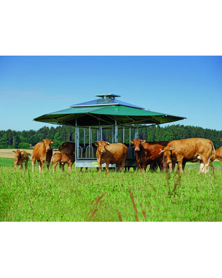 Patura Klimaatruif met zweeds voerhek en groot klimatiseringsdak van 36m2.