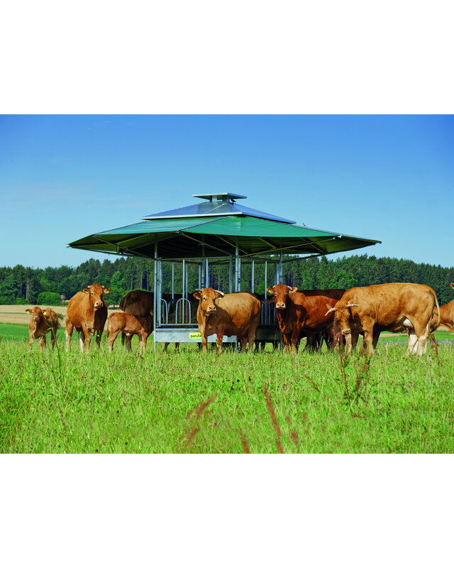 Patura Klimaatruif met diagonaal voerhek en groot klimatiseringsdak van 36m2.