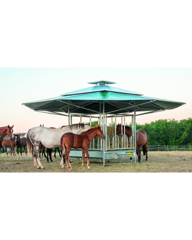 Patura Klimaatruif palissade voerhek en groot klimatiseringsdak van 36m2.