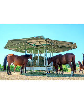 Patura Klimaatruif paarden veiligheidsvoerhek en groot klimatiseringsdak van 36m2.