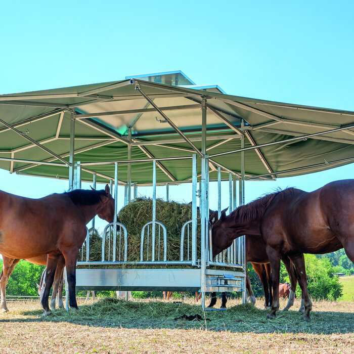Patura Klimaatruif paarden veiligheidsvoerhek en groot klimatiseringsdak van 36m2.