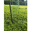 Kippenren 25 mtr. groen met dubbele pen