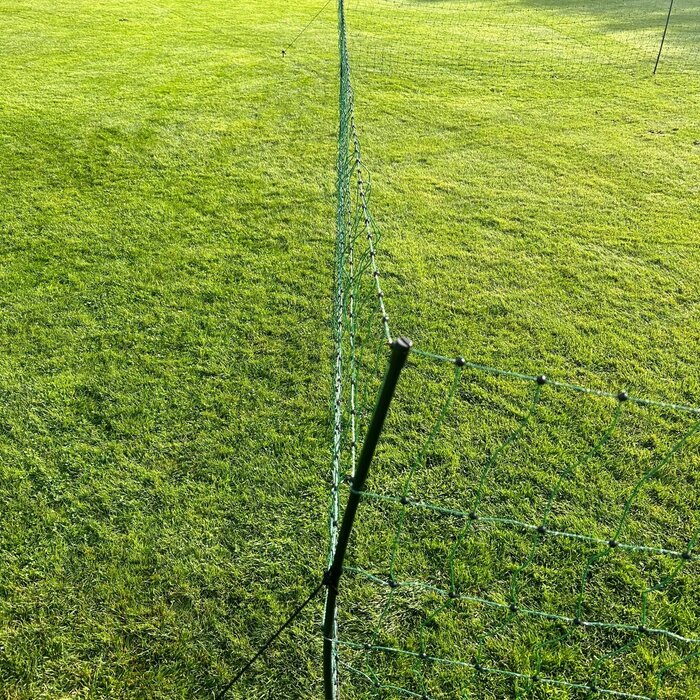 Kippenren 25 mtr. groen met dubbele pen
